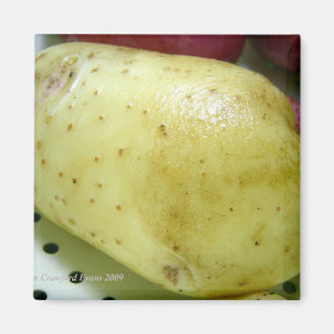Imã Batata do ouro de Yukon