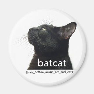 Imã Batcat: Magnet