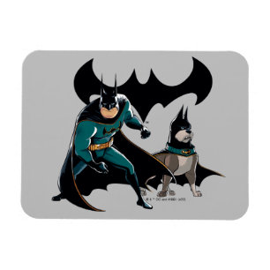 Ímã Batman & Ace