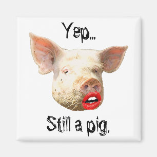 Imã Batom em um porco