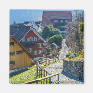 Imã Bauer Vierwald, Suiça