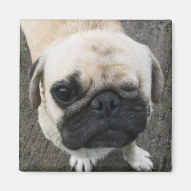 Imã Bauwk... Soi Dog, Tailândia (Frente)