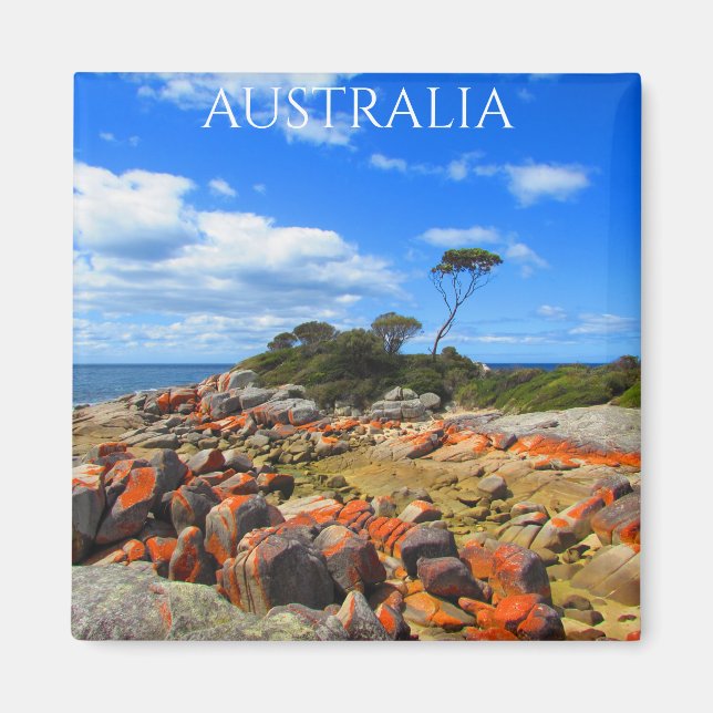 Imã Bay Fires, Tasmânia, Austrália Magnet (Frente)