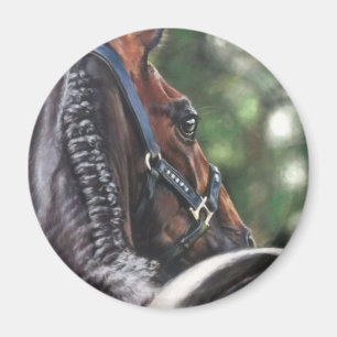 Imã Bay Horse Thoroughbred Warmblood Dressage Jumper