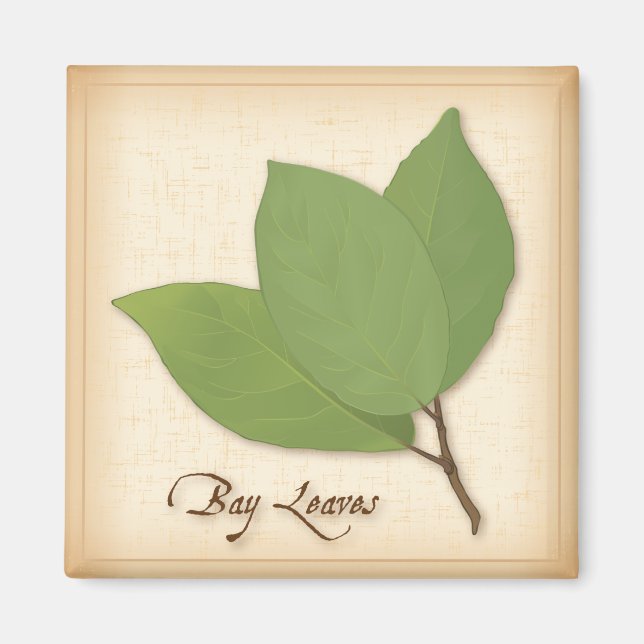 Imã Bay Leaves (Frente)