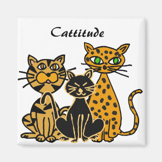 Imã BC - Gatos Engraçados - Magnitude