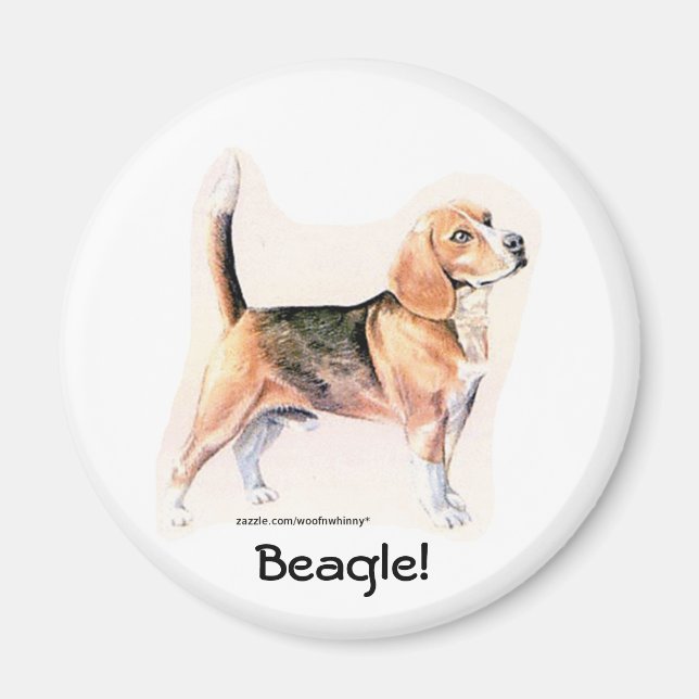 Imã Beagle (Frente)
