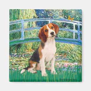 Imã Beagle1 - Ponte