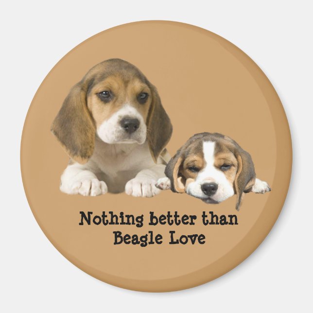 Imã Beagle Buddies Magnet (Frente)