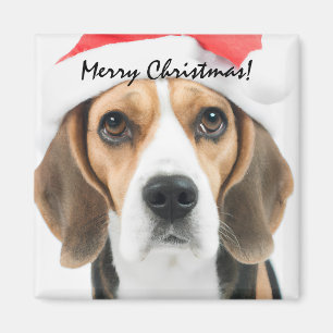 Imã Beagle Christmas