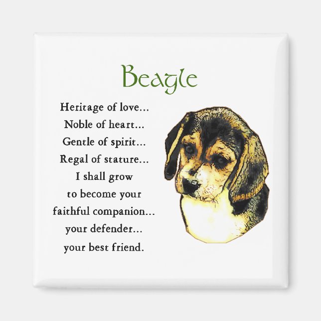 Imã Beagle Gifts (Frente)
