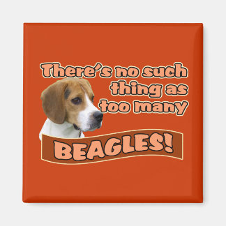 IMÃ BEAGLES