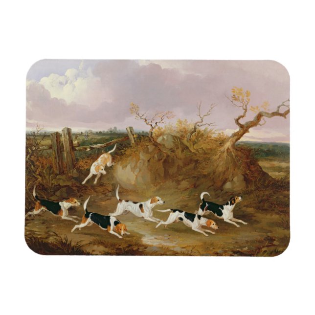 Ímã Beagles in Cheio Cry, 1845 (óleo na canvas) (Horizontal)