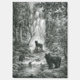 Imã Bear Cubs Visit the Falls