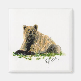 Imã Bear Magnet