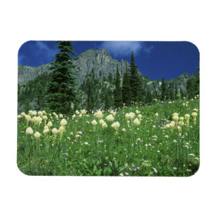 Ímã Beargrass no lago Eunice, Mt. Rainier NP, WA,