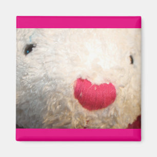 Imã Beary Magnet