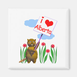 Imã Beaver Canadense ama Alberta