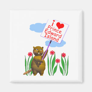 Imã Beaver Canadense ama Ilha Prince Edward