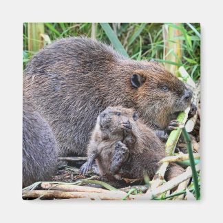 Imã Beaver e Foto da Família
