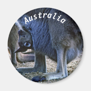 Imã Bebê canguru na bolsa da mãe - Austrália