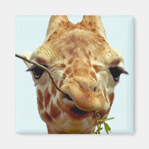Imã bebê engraçado do girafa