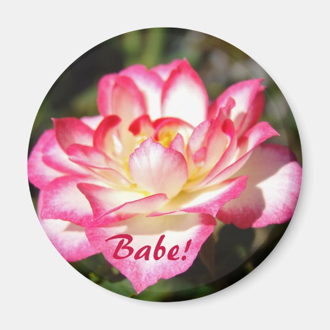 Imã Bebê! ímãs presentes Rosa Branca Flor Floral (Frente)