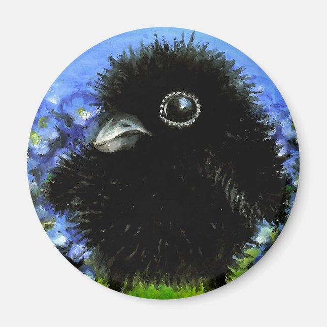 Imã Bebê raven (Frente)