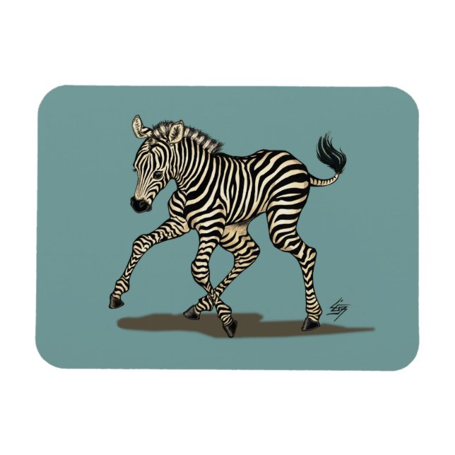 Ímã Bebê zebra sobre fundo azul (Horizontal)
