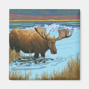 Imã Bebendo de alce no lago - Nacional Yellowstone