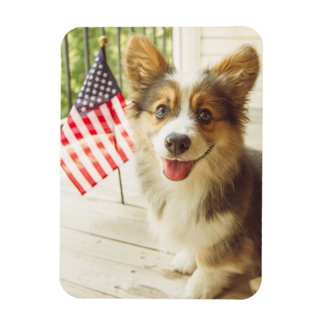 Ímã Bebês Mais Pobres | American Flag Corgi (Vertical)