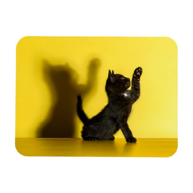 Ímã Bebês Mais Pobres | Brinquedo preto (Horizontal)