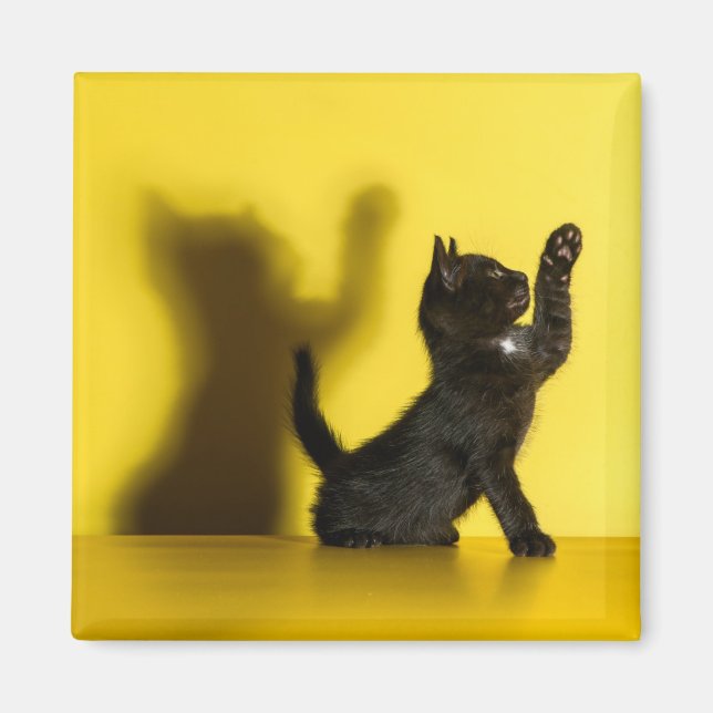 Imã Bebês Mais Pobres | Brinquedo preto (Frente)