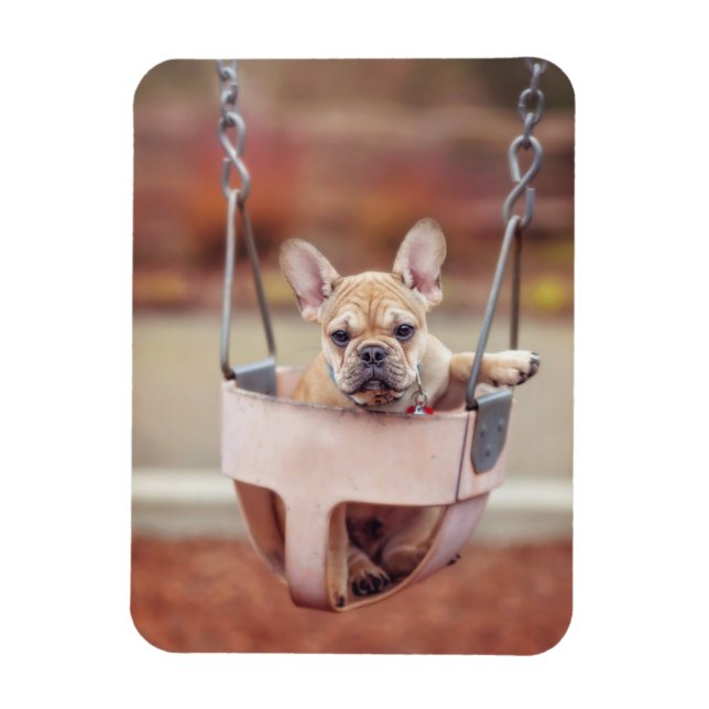 Ímã Bebês Mais Pobres | Buldogue francês (Vertical)