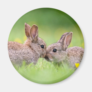 Imã Bebês Mais Pobres Bunny Kiss