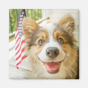 Imã Bebês Mais Pobres   Corgi Puppy Patriótico