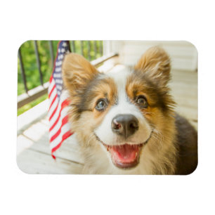 Ímã Bebês Mais Pobres Corgi Puppy Patriótico