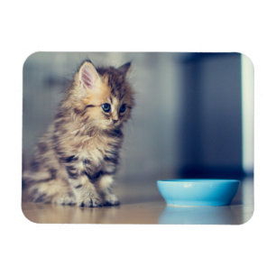 Ímã Bebês Mais Pobres   Cristina Persa De Olho Azul