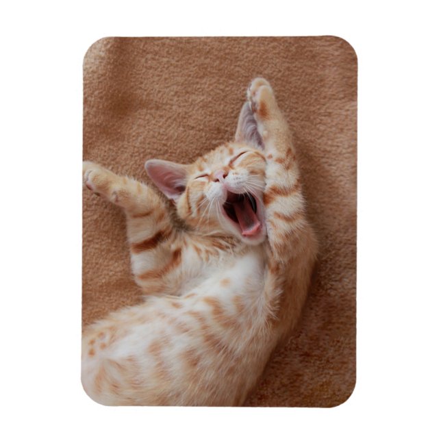Ímã Bebês Mais Pobres | Ginger Kitten Yawning (Vertical)