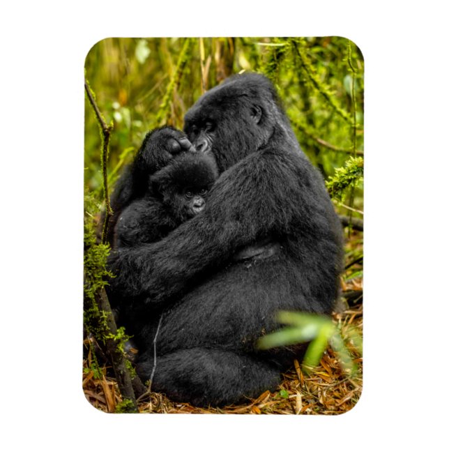Ímã Bebês Mais Pobres | Gorilla & Baby (Vertical)