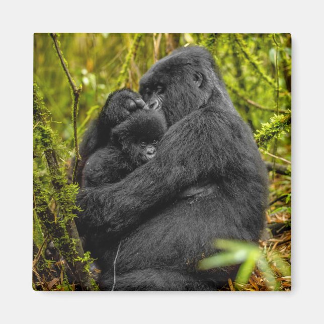 Imã Bebês Mais Pobres | Gorilla & Baby (Frente)