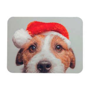 Ímã Bebês Mais Pobres   Jack Russell Dog Santa Claus