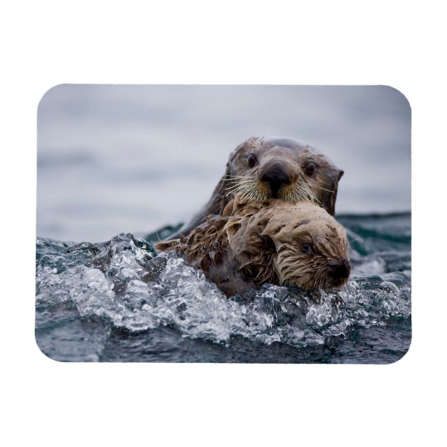 Ímã Bebês Mais Pobres | Outro Bebê e mãe (Horizontal)