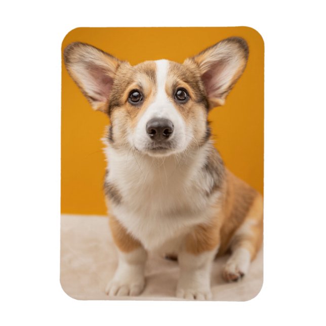 Ímã Bebês Mais Pobres | Retrato de Corgi em laranja (Vertical)