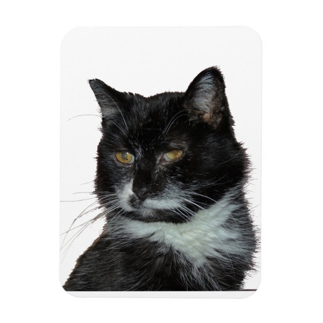 Ímã Beco Cat Love (Vertical)