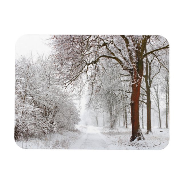 Ímã Beco de árvore | Stupinigi Parc, Itália (Horizontal)
