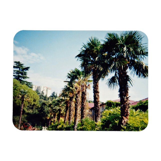 Ímã Beco de Palma do Jardim Botânico de Nikitsky na (Horizontal)