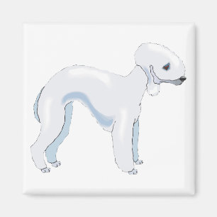 Imã Bedlington Terrier