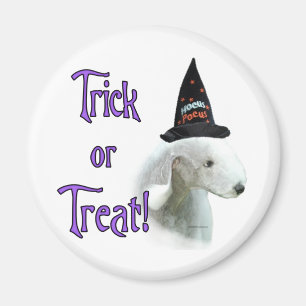 Imã Bedlington Terrier Trick
