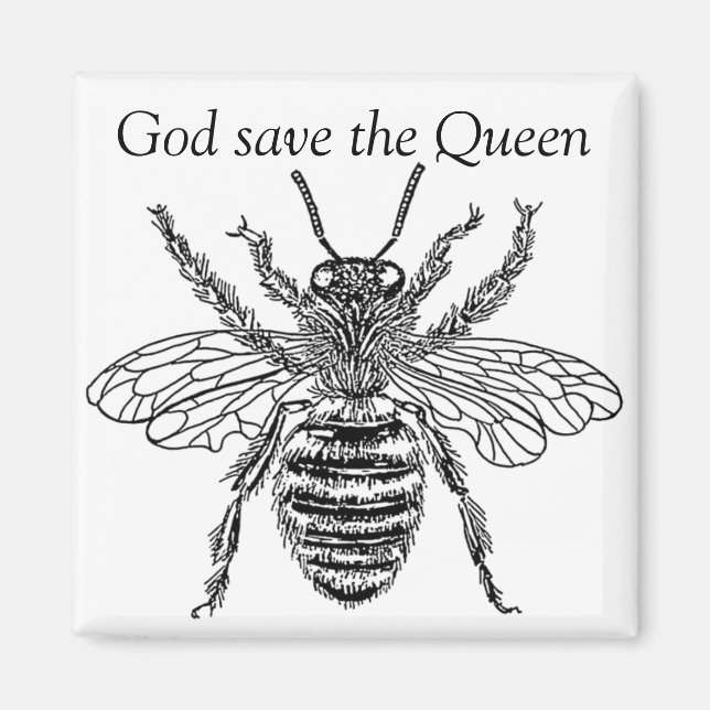 Imã bee buzzart queen (Frente)